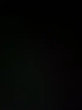 TheDime's Live XXX Chat