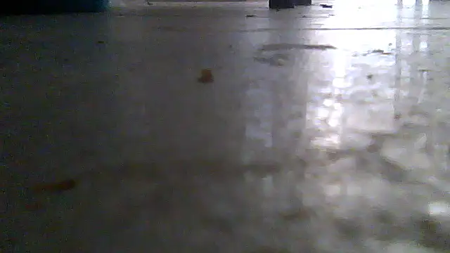 SirFrankonde Webcam-Show