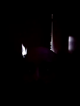 medioarabemediogypsi Webcam-Show