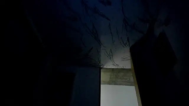 Chat XXX ao vivo de dante_cooper0