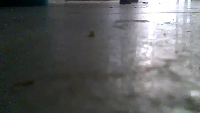 SirFrankonde Webcam show