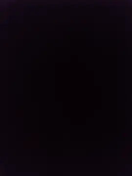 Kleeber Live XXX Chat