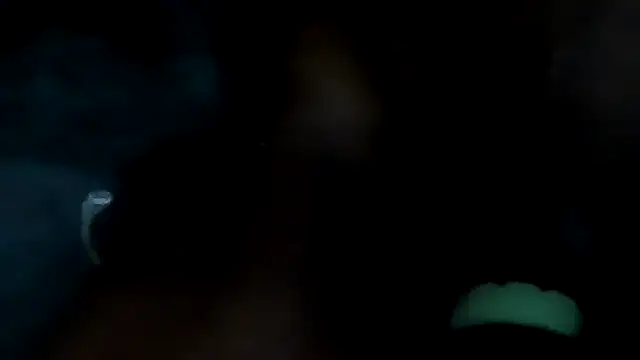Triggerhappycj100 live XXX chat