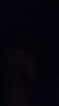 ZeldaSneakyLink Live XXX-Chat