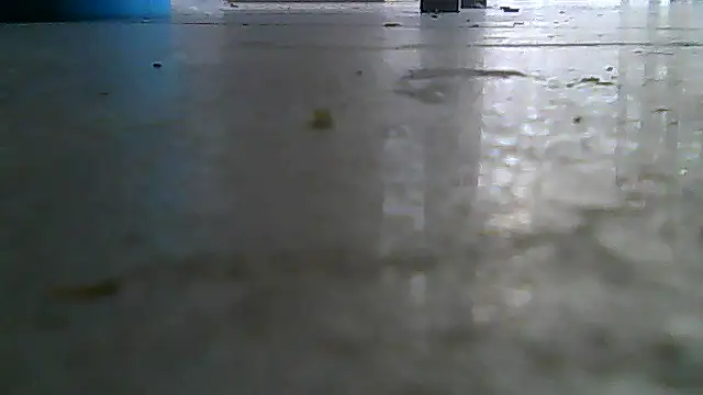 Živý XXX chat SirFrankonde