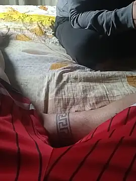 santiidndn Webbikameraesitys