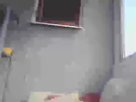 Show Webcam de SHARPSkinhead