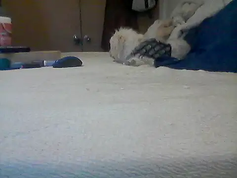 Silencio26's Live XXX Chat