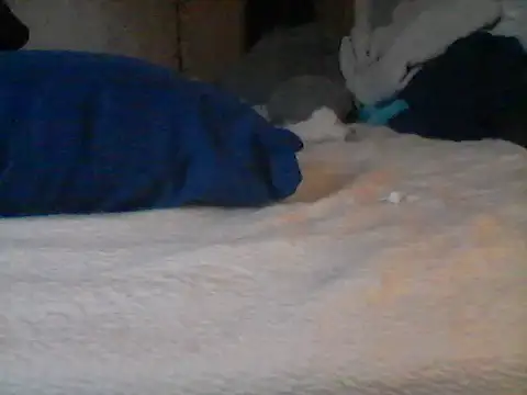 Silencio26 Chat XXX in diretta