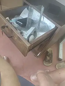 AurNegru Show Webcam