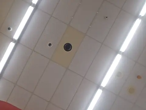 UncutHammer69 élő XXX-chatje