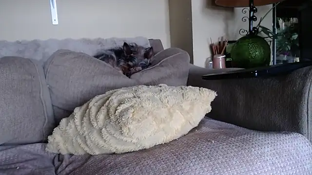 Živý XXX chat seattlemanwhore