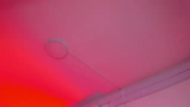 bonnieAn Live XXX-chat