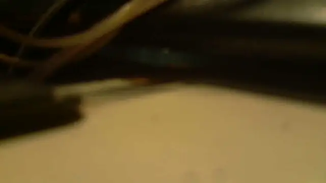 stelletje55 Webcamshow