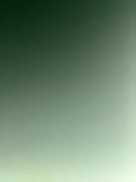 TheDime – Naživo XXX chat