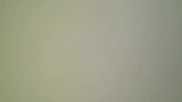 Mushroom83 live XXX chat