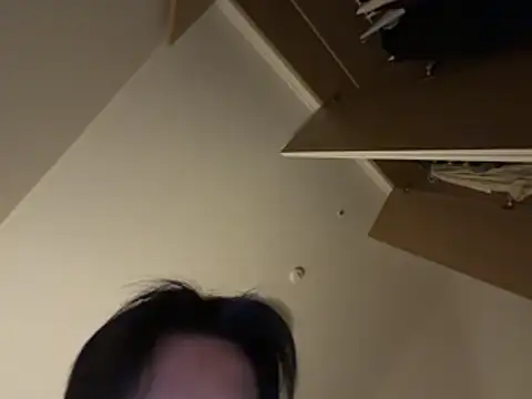 dvoiのウェブカメラショー