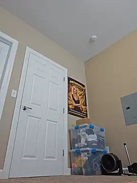 AmethystFoxx Live XXX-chat