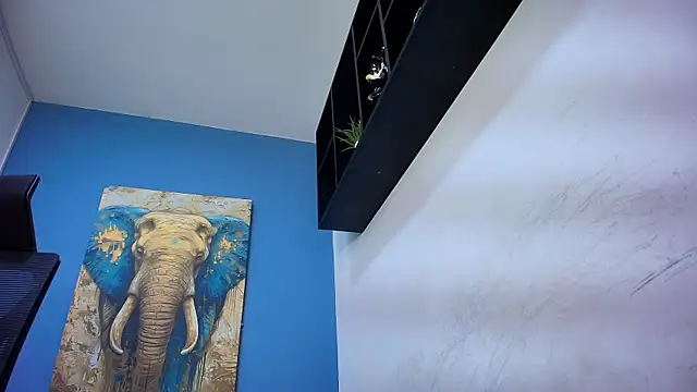 ADAM_CUMS élő XXX-chatje