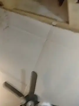 fischnetのライブXXXチャット