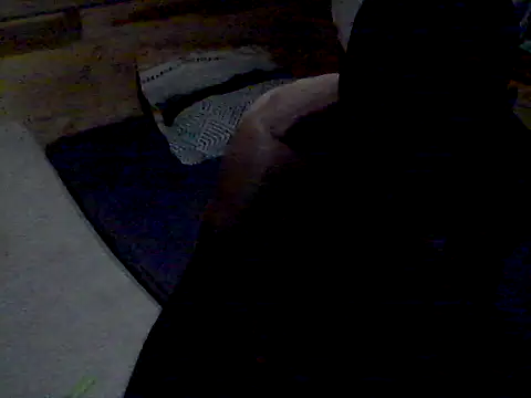 Pourquoipas Webcam show