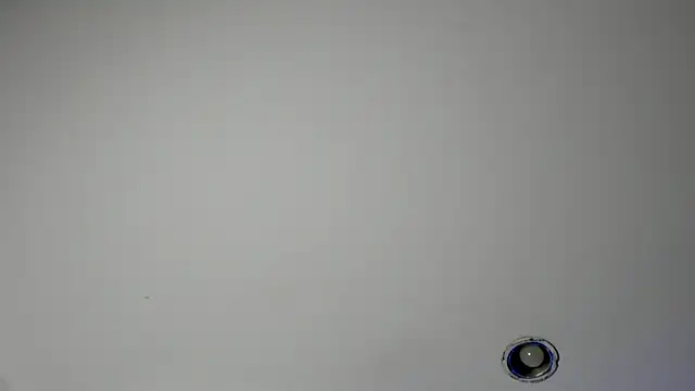 Chat XXX Live DenzelRios