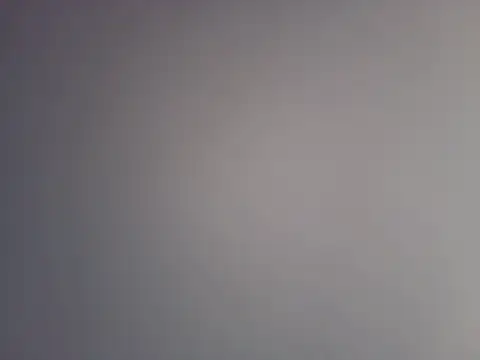 tatingordin élő XXX-chatje