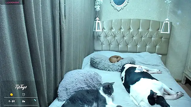 Czat XXX na żywo – Dreams_sophi