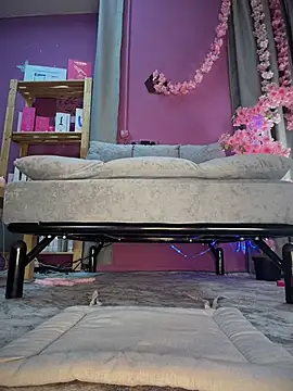 Chat XXX Live Rimmahottes