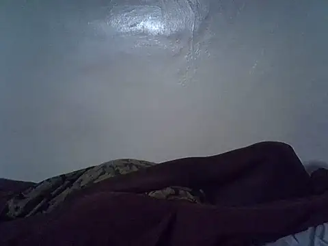 lewin_ebonyn Webbikameraesitys
