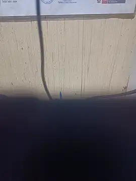 Nmnnnnopのウェブカメラショー