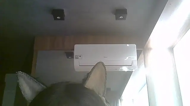 SkinnyKitten's Live XXX Chat