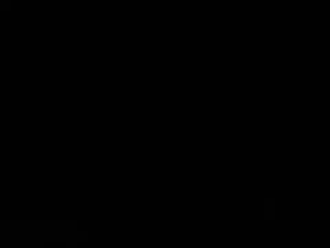 Show webcam de Blkstylion