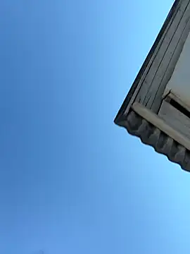 Frosl 现场XXX聊天