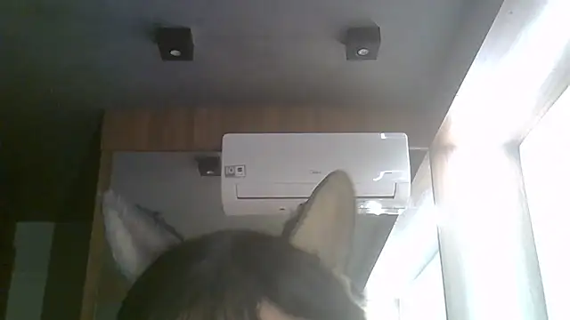 SkinnyKitten Live XXX-Chat