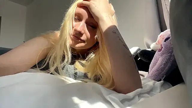 DunkedEssay Live XXX-chat