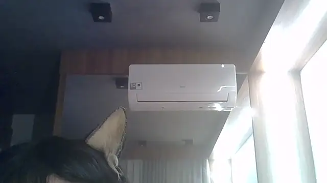 Show de SkinnyKitten na webcam