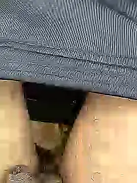 Desi_boy_fuck's Live XXX Chat