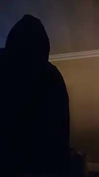 ZeldaSneakyLink's Webcam Show