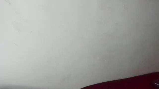 acvd_11 Webcam-Show