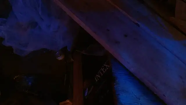 ctguybj 라이브 XXX 채팅