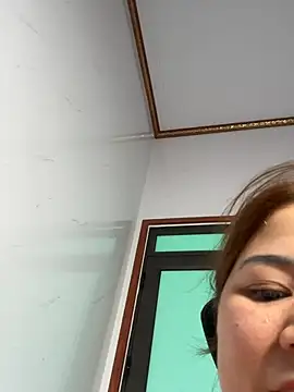 L_We Show Webcam
