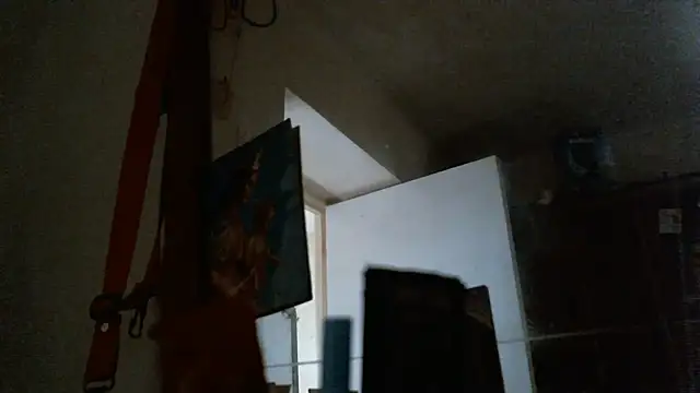 bravo23toro's Live XXX Chat