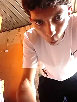Show webcam de Noscay