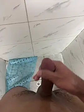 212benjamin212n Webbikameraesitys