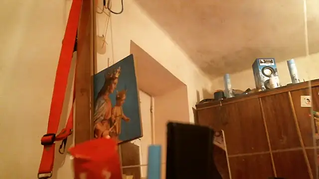 bravo23toro live XXX chat