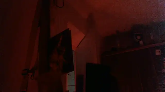 bravo23toro Show in webcam