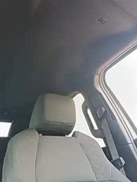 bestsolos Live XXX-chat