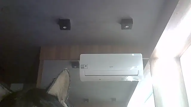 Show de webcam de SkinnyKitten