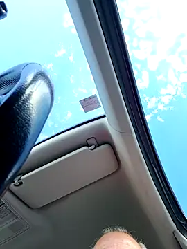 Fontineroのウェブカメラショー